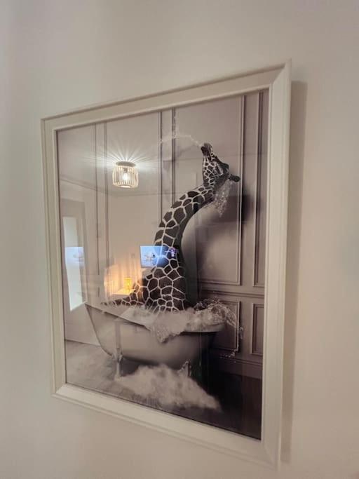 Petit Et Son Abrite Apartment Nancy