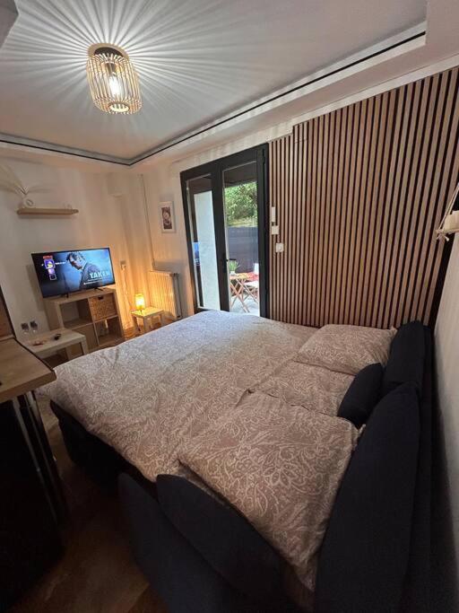 Apartment Petit Et Son Abrite Nancy
